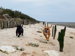 a la plage avec Alecto